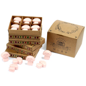 Box of 6  Wax Melts - Old Ginger Box of 6 Wax Melts - Old Ginger